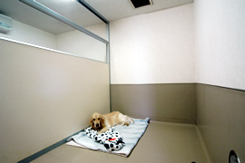 大型犬専用個室は３平米 あります。